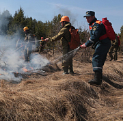 Поджоги сухой травы и мусора привели к половине пожаров в Новосибирске
